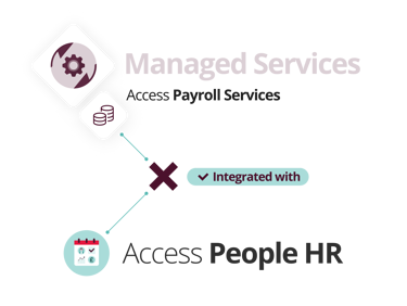 Graphic Explaining What Is Access Payroll Services